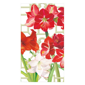 Guardanapos Amaryllis Conservator